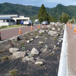 Land disposal vista paku 2