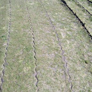 Omaha SDI irrigation