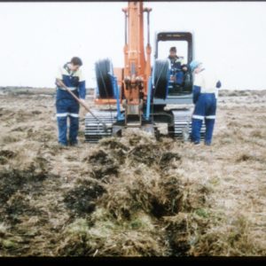 Tiwai_03_ SDI install